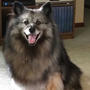 Meet your Posher, Ken